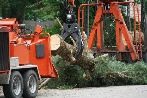 Lawn Watering Services in Cedar Rapids, IA